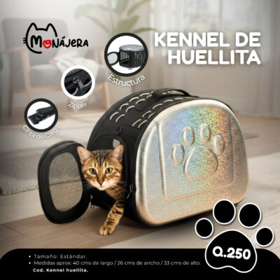 Kennel de Huellita Tornasol Negro