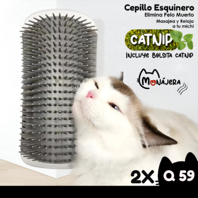 Oferta 2 Cepillos Esquineros