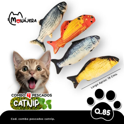 Combo de 4 Pescados