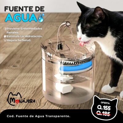 Fuente Transparente