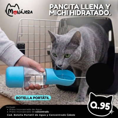 Botella de Agua y Comida Portátil Celeste