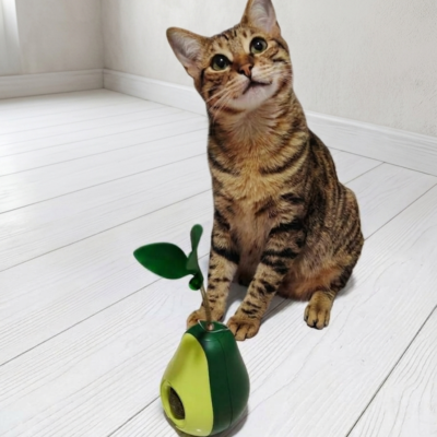 Aguacate Catnip de Hojitas Grande con Sobre Catnip